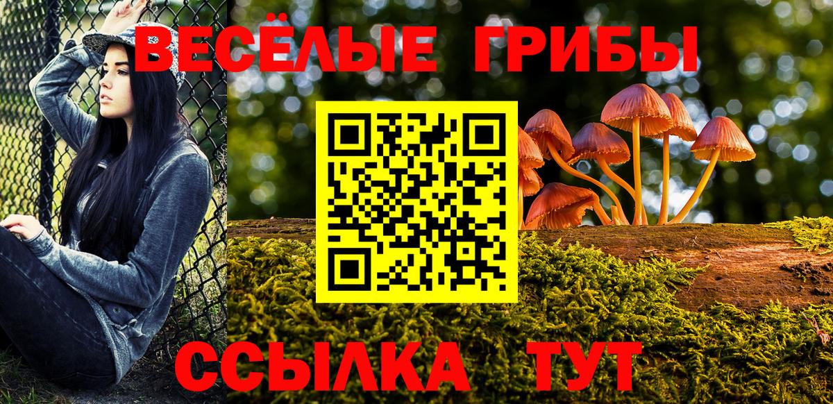 Симферополь  Галлюциногенные грибы Psilocybe  Псилоцибиновые грибы Psilocybe  Вход с VPN 